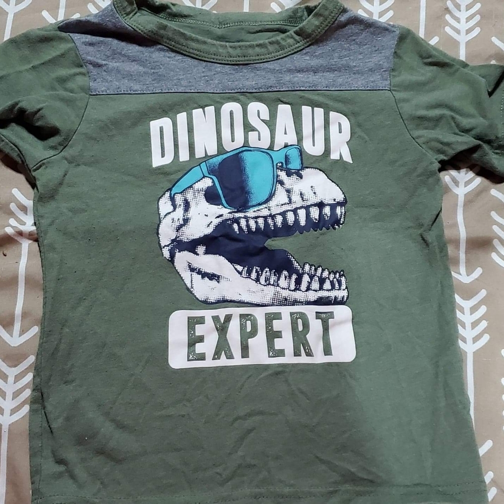Boys dino t shirt